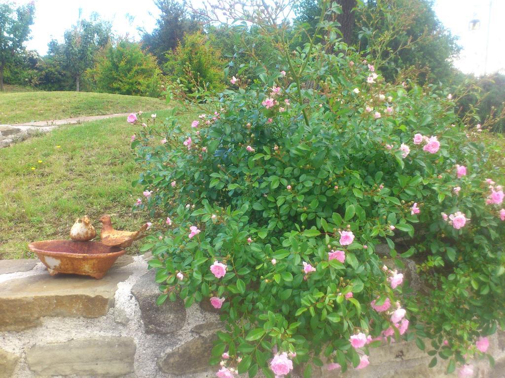 Bed and Breakfast Poggio Dei Prugnoli Tavoleto Екстер'єр фото