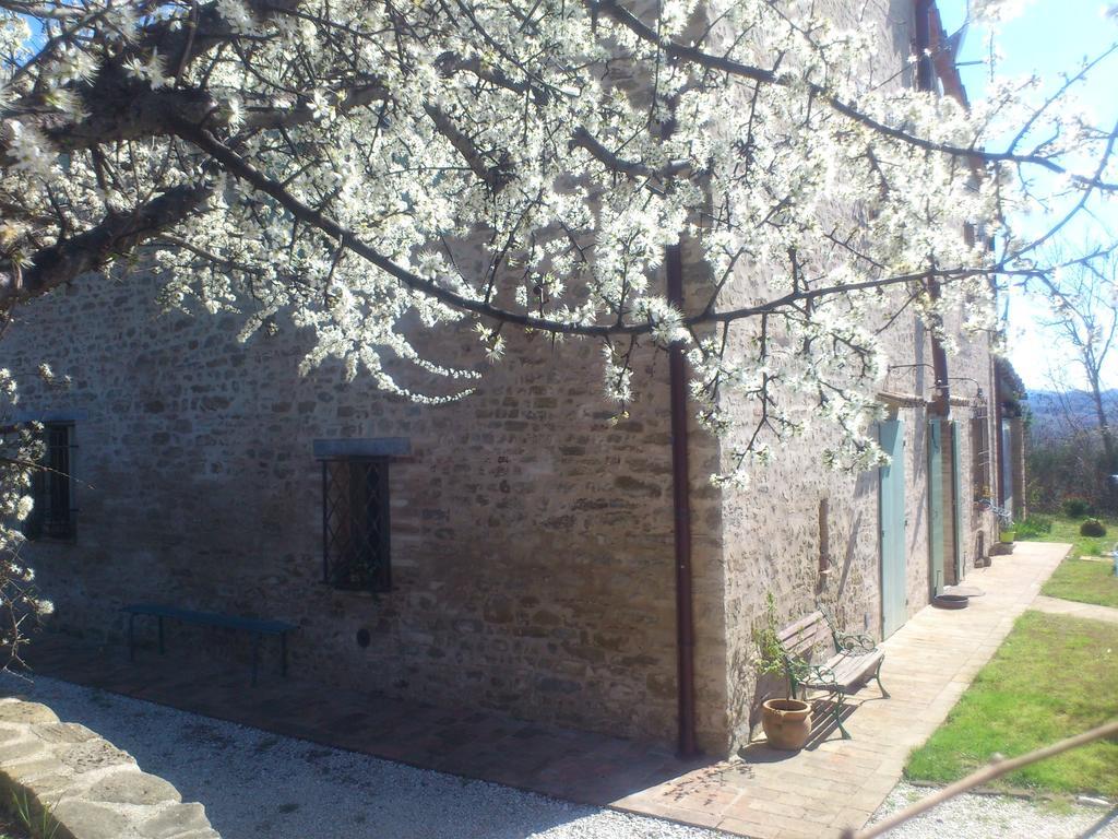 Bed and Breakfast Poggio Dei Prugnoli Tavoleto Екстер'єр фото
